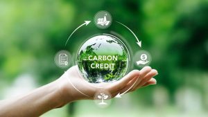 What Is The Carbon Footprint? Reducing Carbon Footprint In Manufacturing Plants