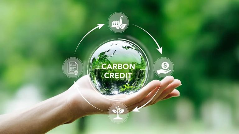 What Is The Carbon Footprint? Reducing Carbon Footprint In Manufacturing Plants